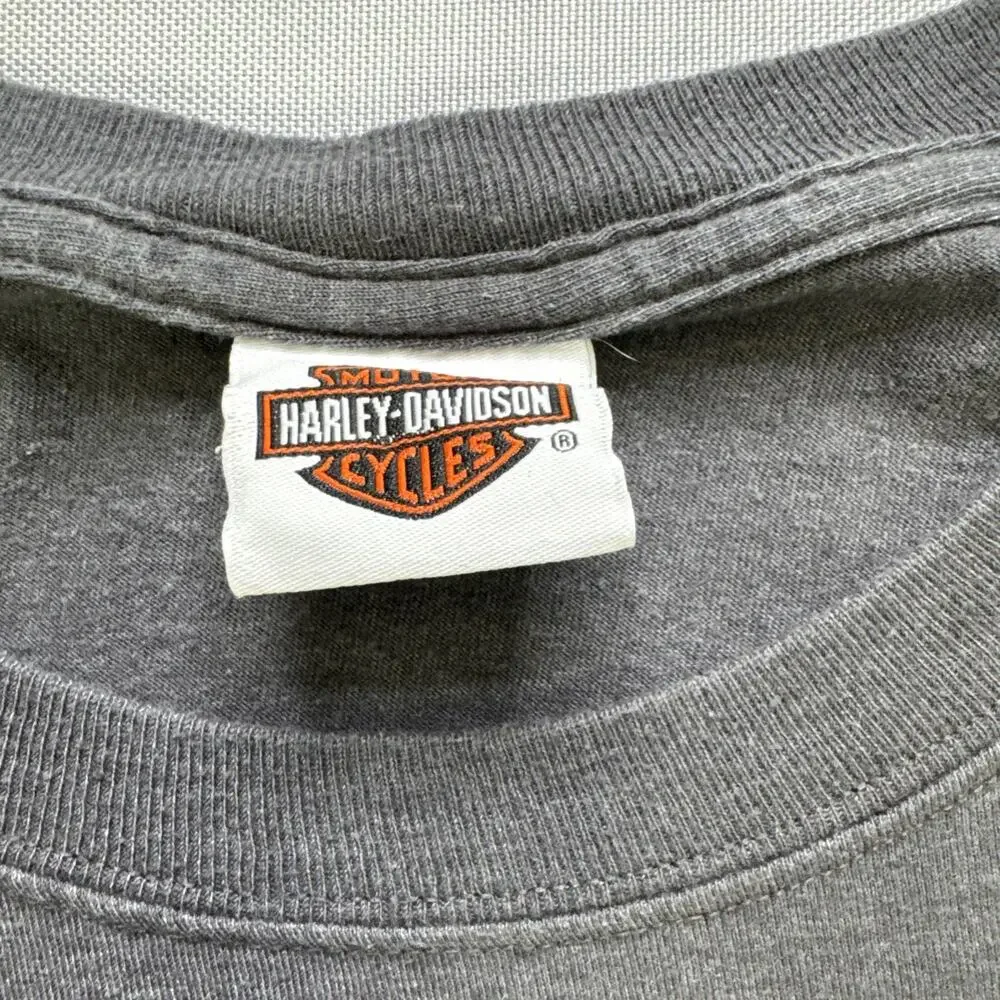 Harley-Davidson Motorcycle Chester’s Jackson Hole WY Graphic T-Shirt Gray XL LS
